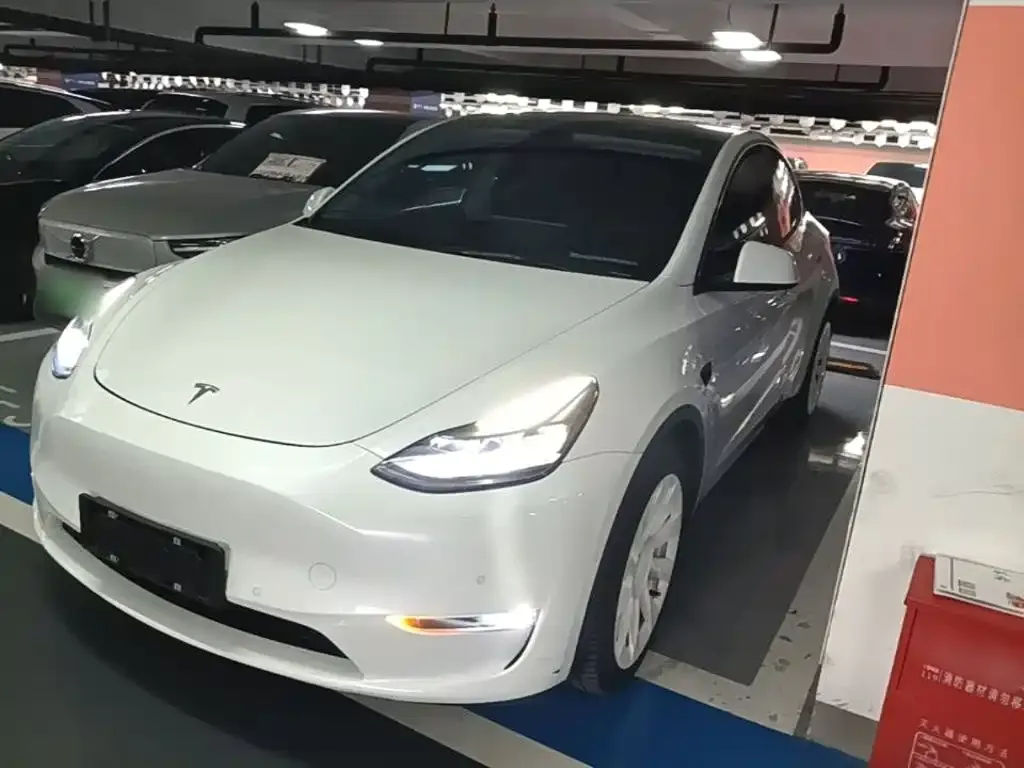 Tesla Model Y — фото 10