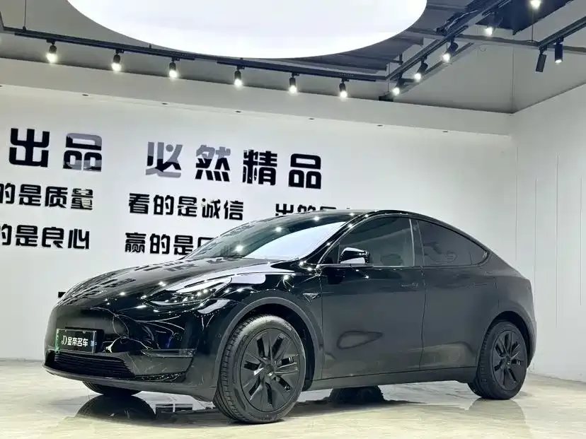 Tesla Model Y — фото 1