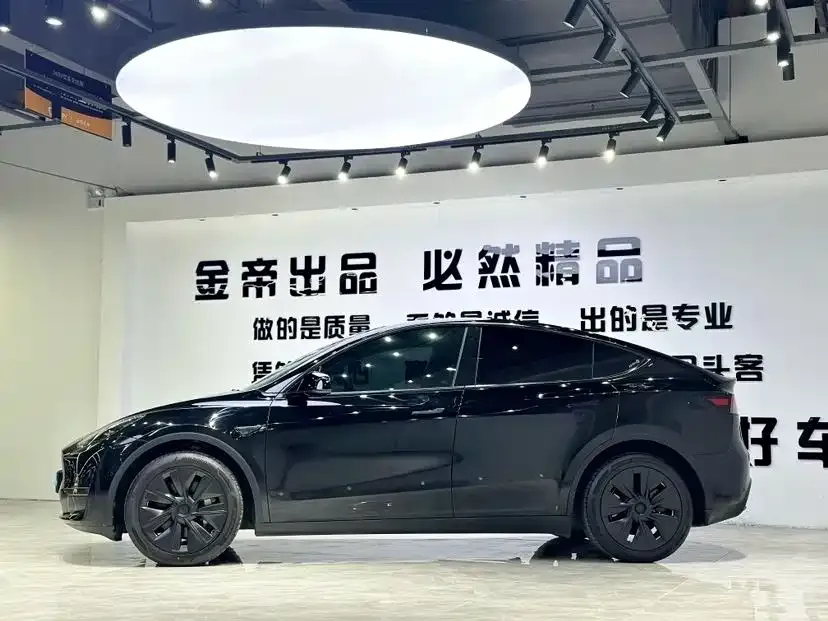Tesla Model Y — фото 10