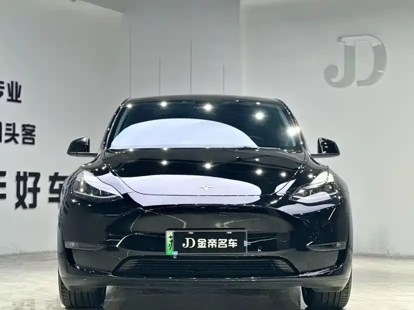 Tesla Model Y — фото 2