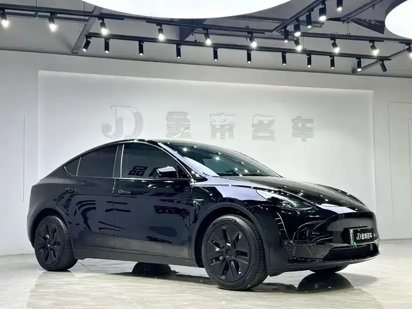 Tesla Model Y — фото 3