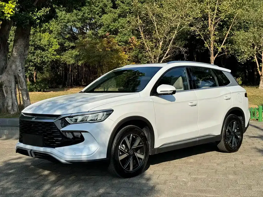 BYD Pro New Energy — фото 1