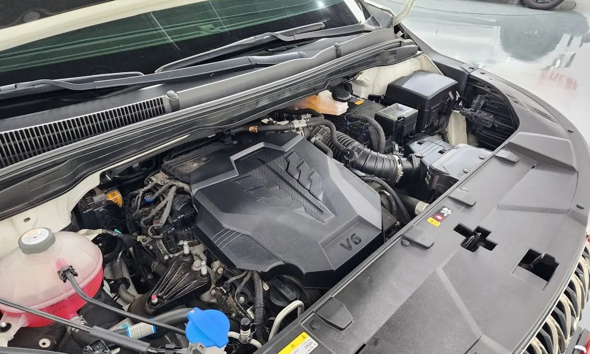 Kia Carnival — фото 10