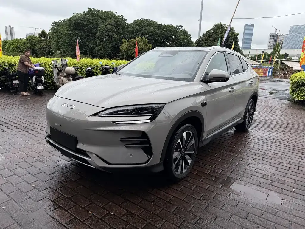 BYD PLUS New Energy — фото 1