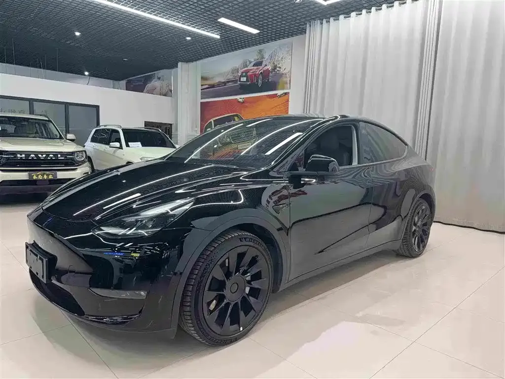 Tesla Model Y — фото 1