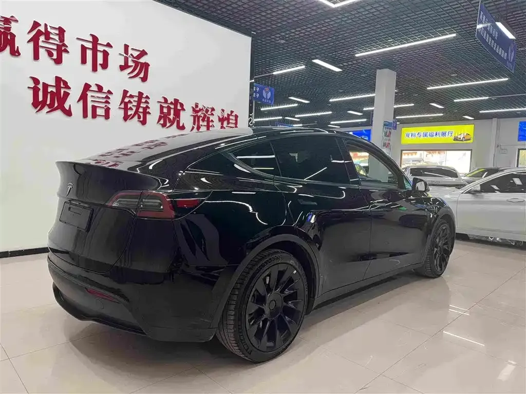 Tesla Model Y — фото 2
