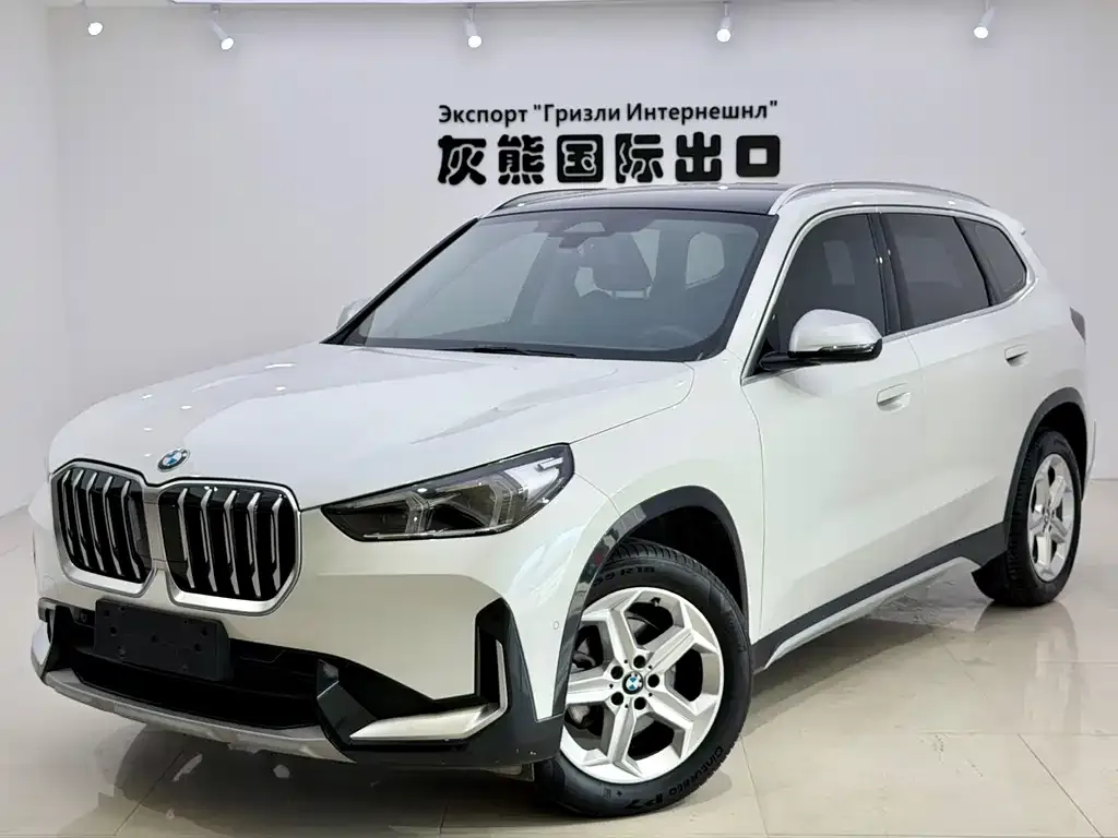 BMW X1 — фото 1