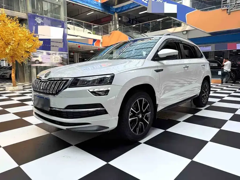 Skoda Karoq — фото 1