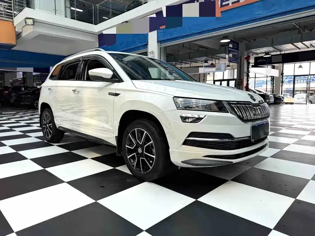 Skoda Karoq — фото 5