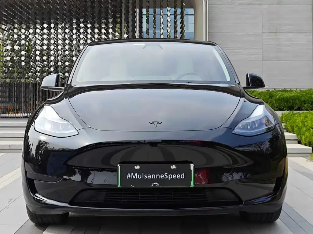 Tesla Model Y — фото 10