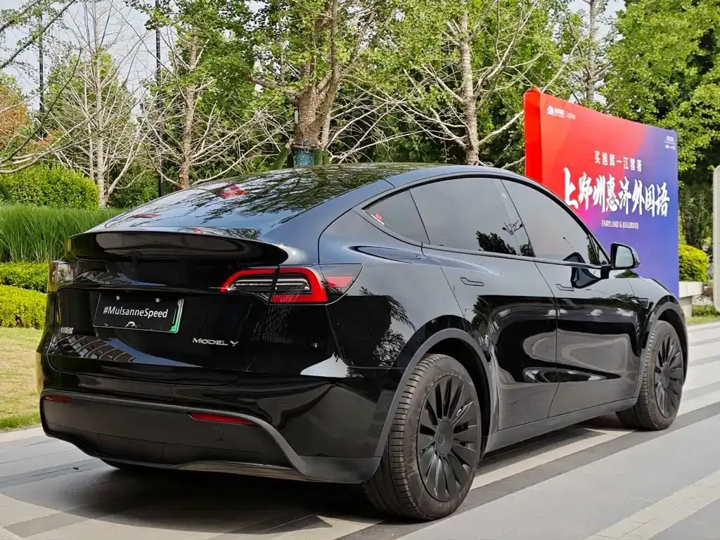 Tesla Model Y — фото 9