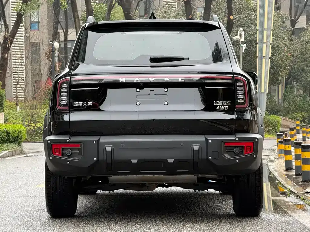 Haval Big Dog — фото 9