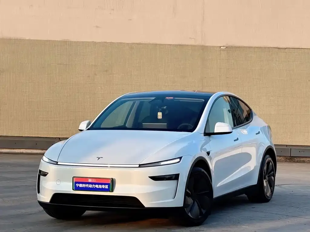 Tesla Model Y — фото 1
