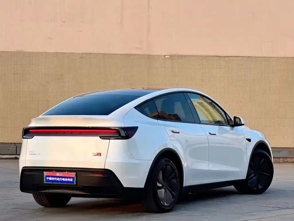 Tesla Model Y — фото 10