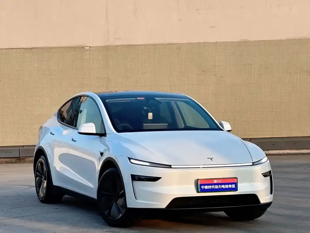 Tesla Model Y — фото 9