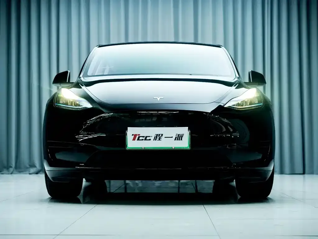 Tesla Model Y — фото 8