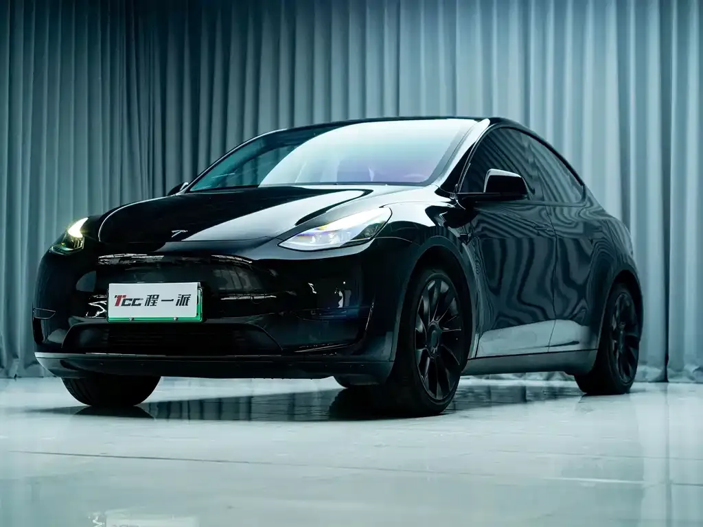 Tesla Model Y — фото 6