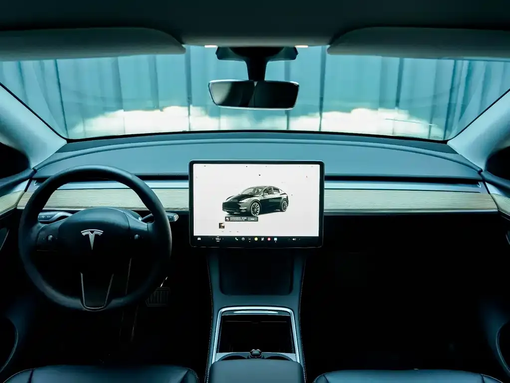 Tesla Model Y — фото 10