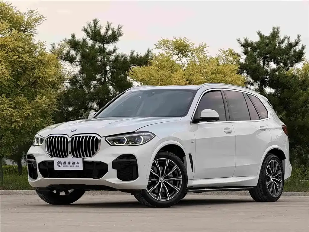 BMW X5 (Import) — фото 1