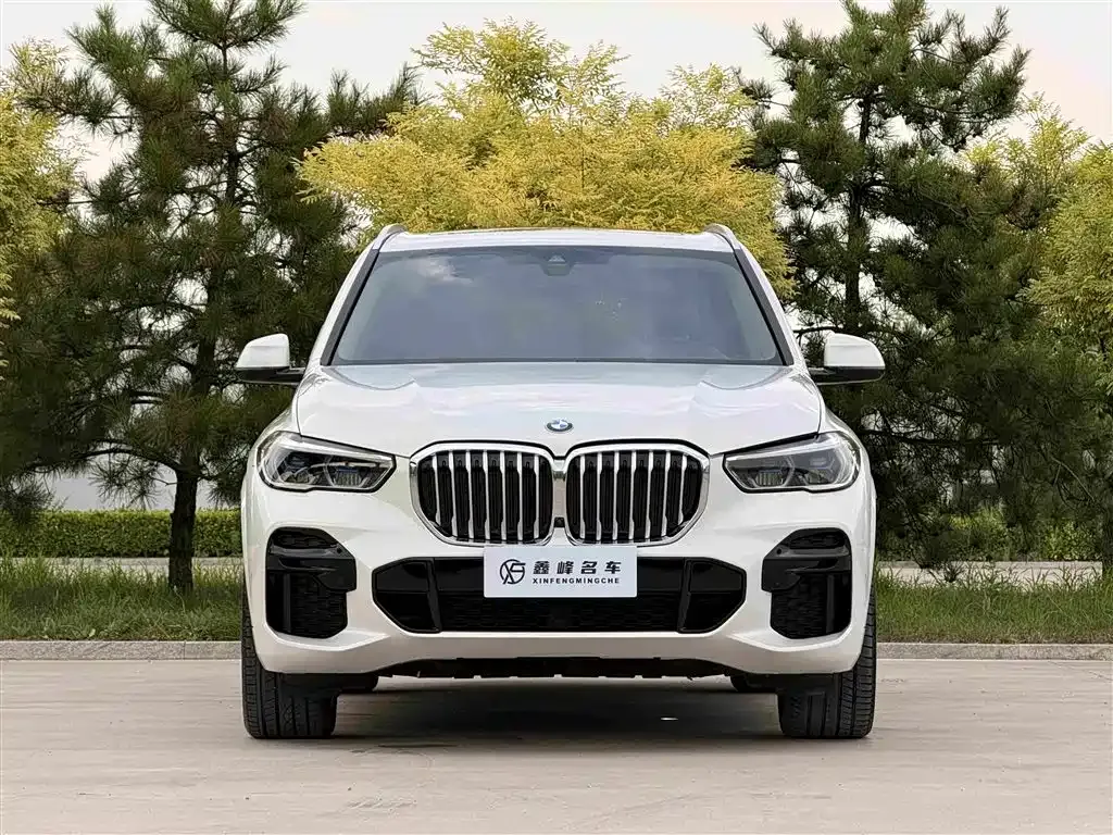 BMW X5 (Import) — фото 4