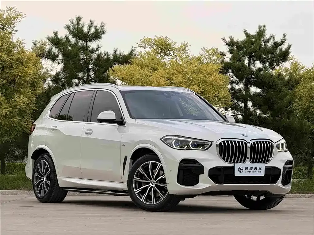 BMW X5 (Import) — фото 10