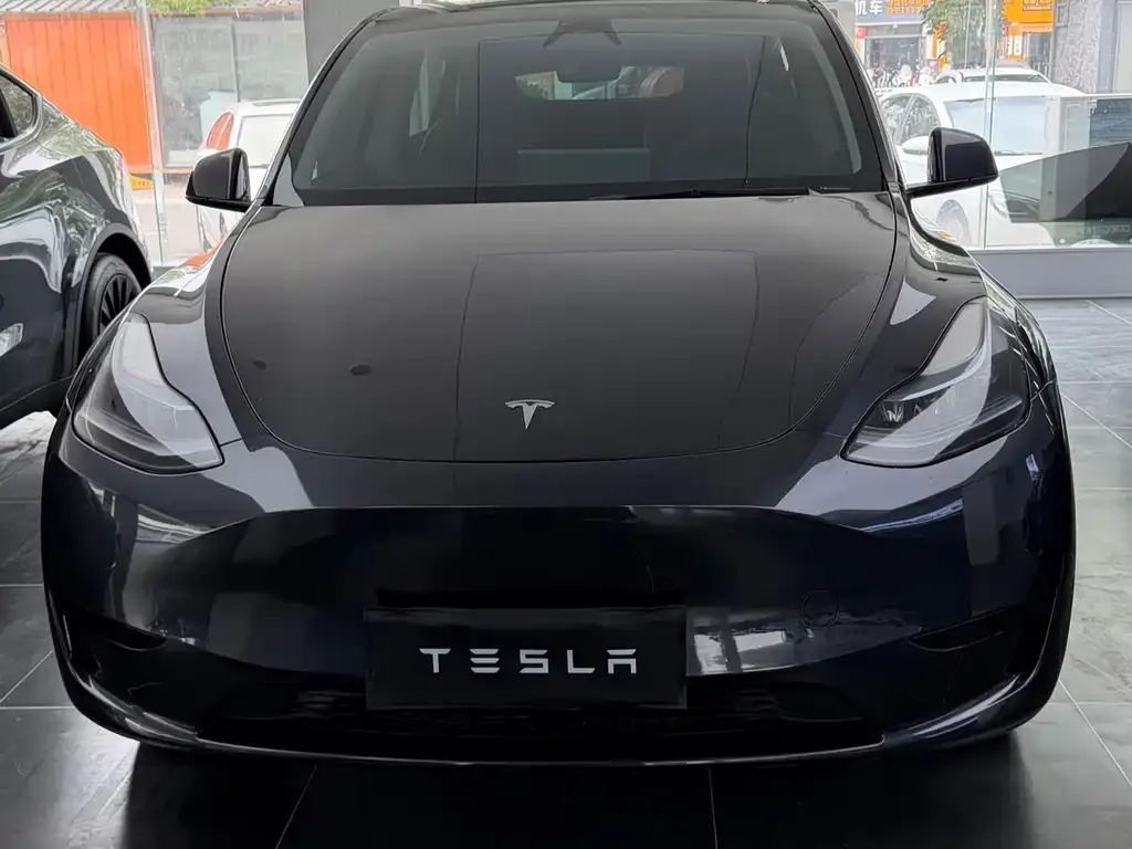 Tesla Model Y — фото 2