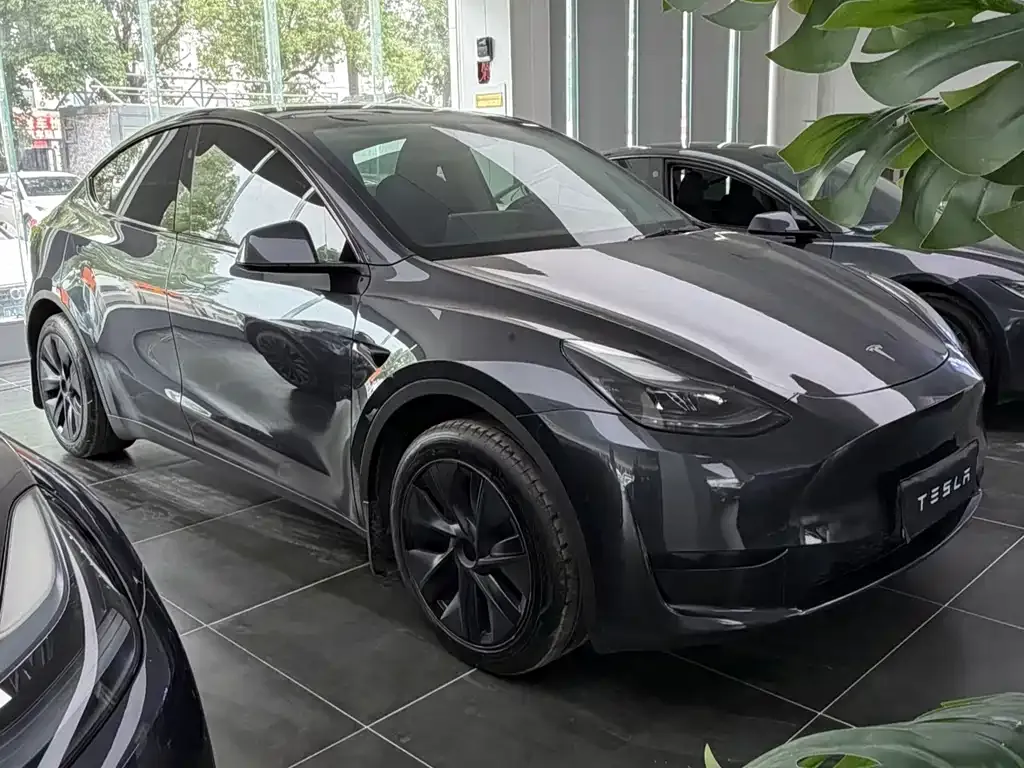 Tesla Model Y — фото 7