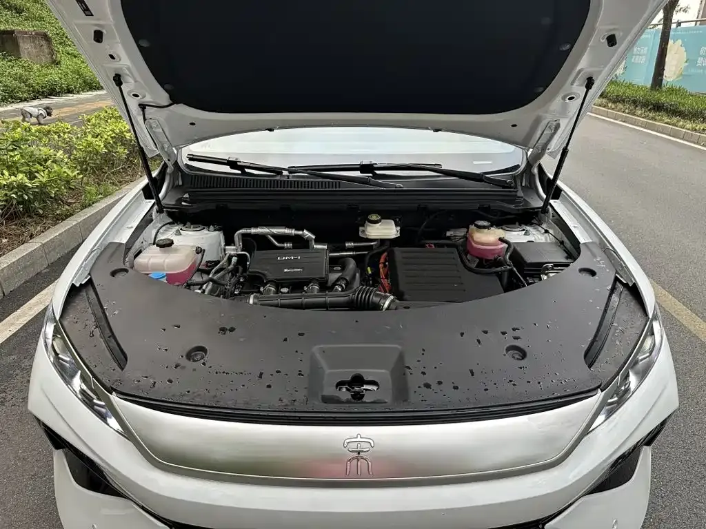 BYD Pro New Energy — фото 3