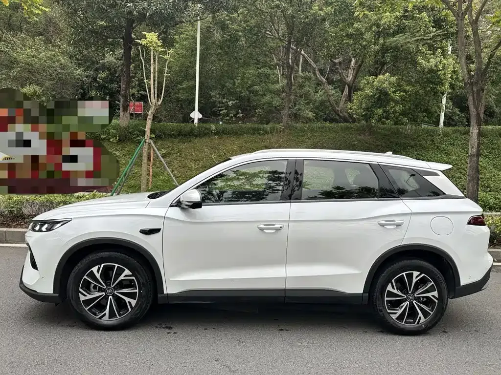 BYD Pro New Energy — фото 7