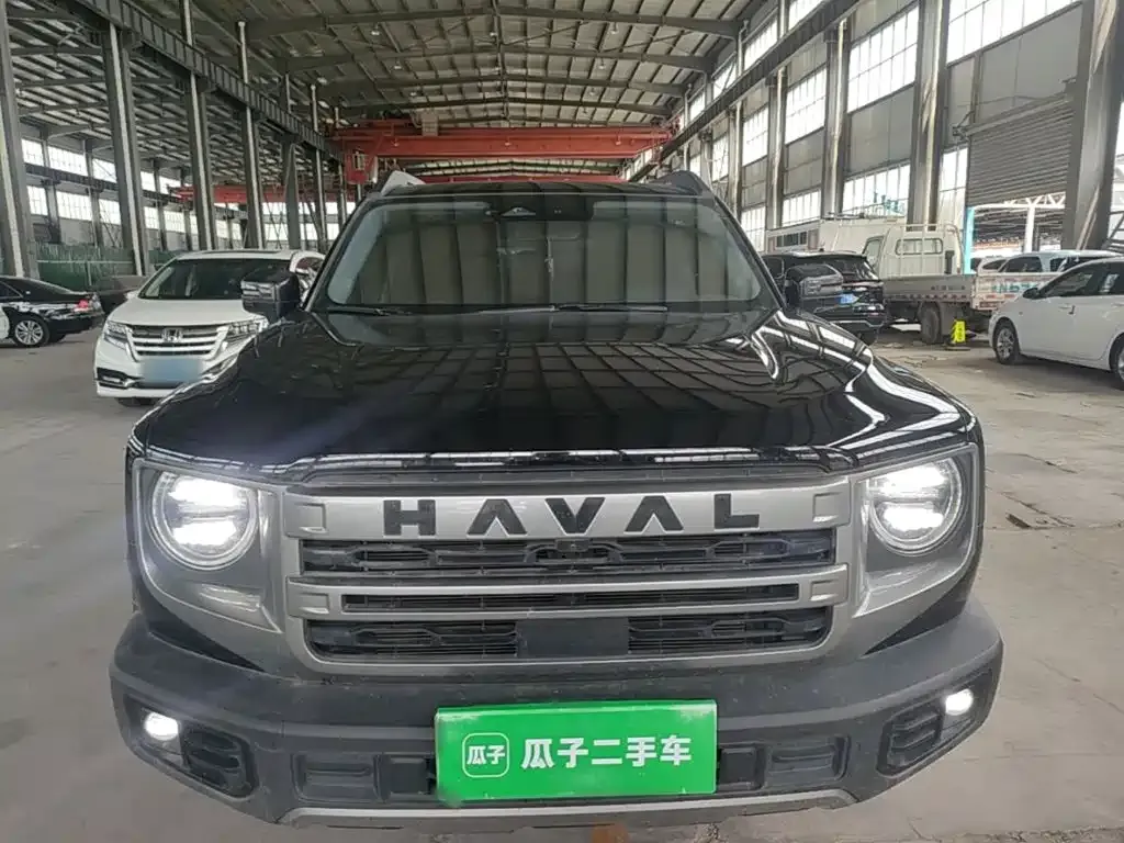 Haval Big Dog 2024 из CN, фото 8