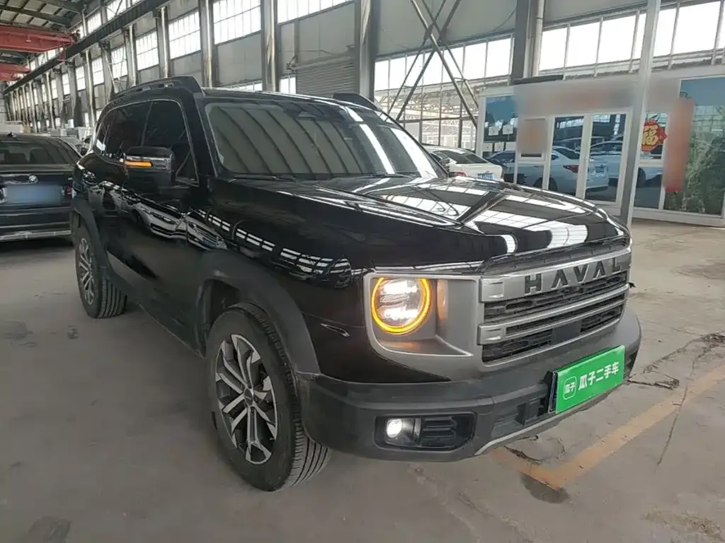 Haval Big Dog 2024 из CN, фото 6