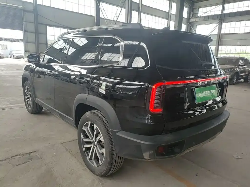 Haval Big Dog 2024 из CN, фото 10