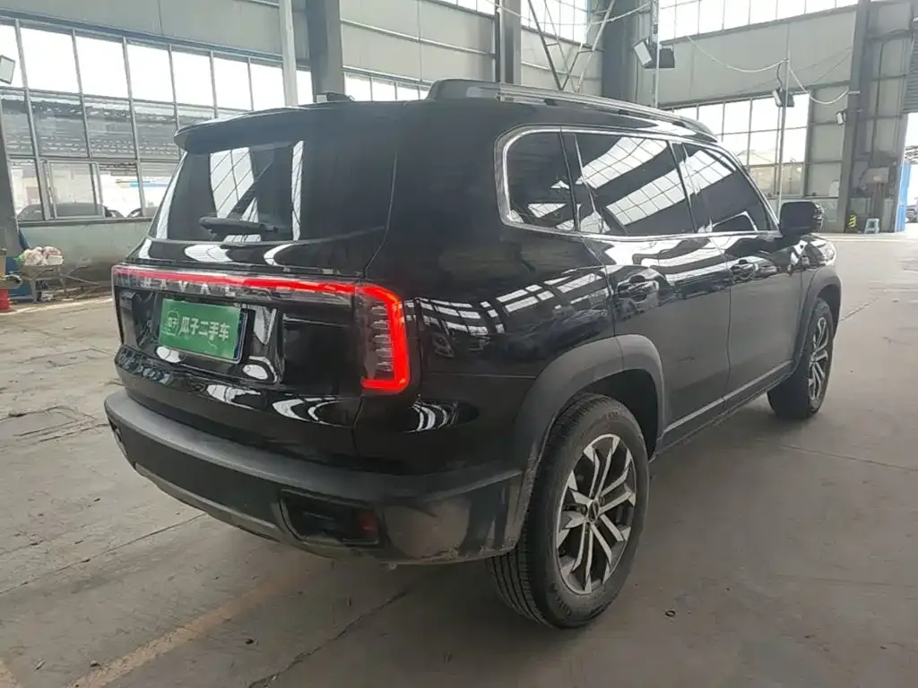 Haval Big Dog 2024 из CN, фото 4