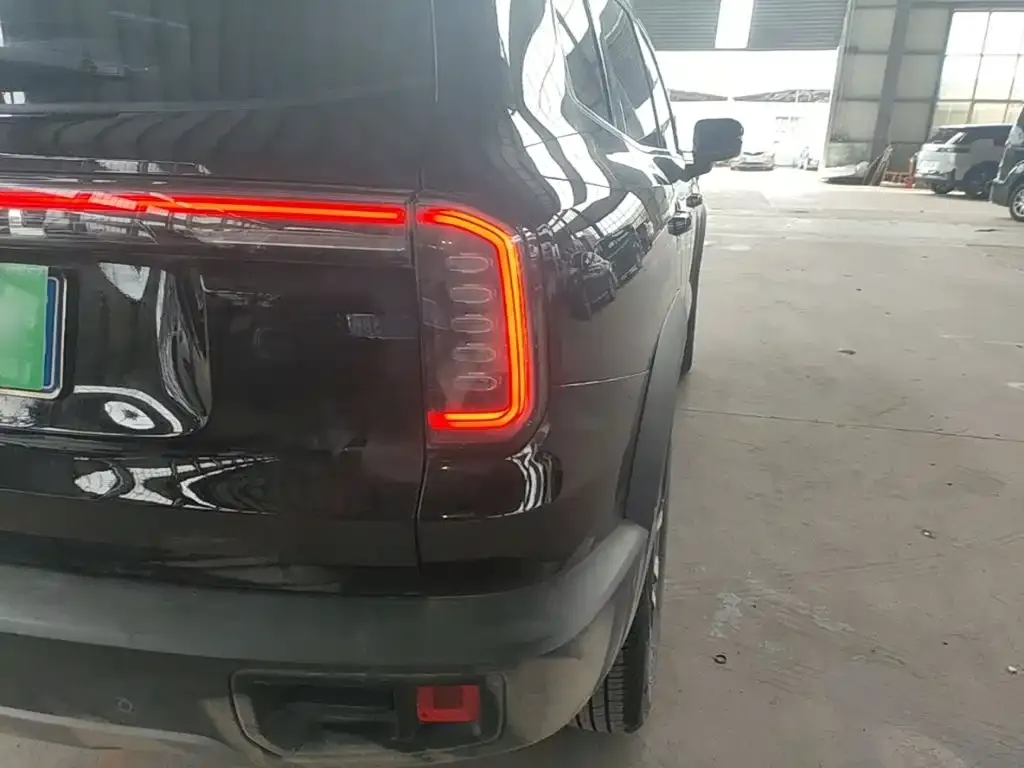 Haval Big Dog 2024 из CN, фото 2