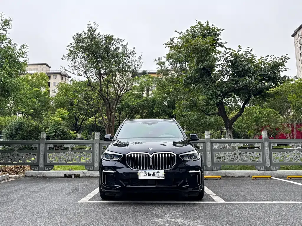 BMW X5 — фото 9