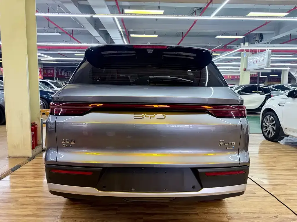 BYD Pro New Energy — фото 5