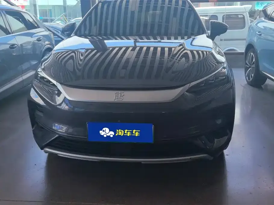 BYD Tang New Energy — фото 10
