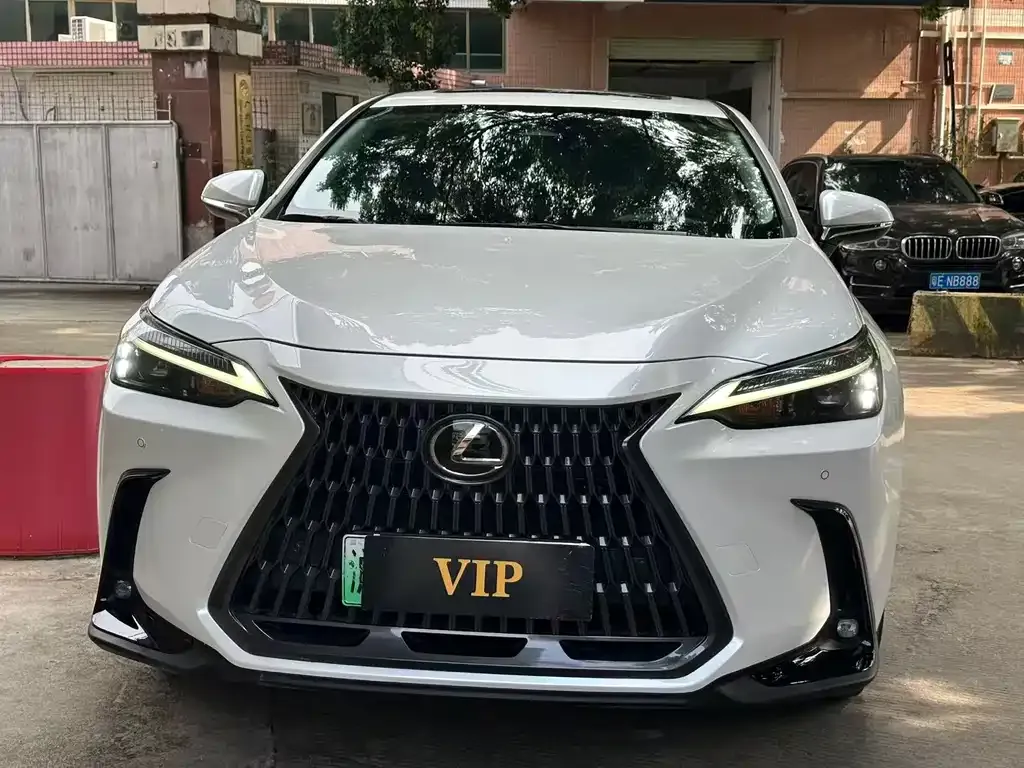Lexus NX New Energy — фото 3