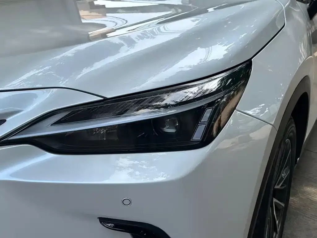 Lexus NX New Energy — фото 10