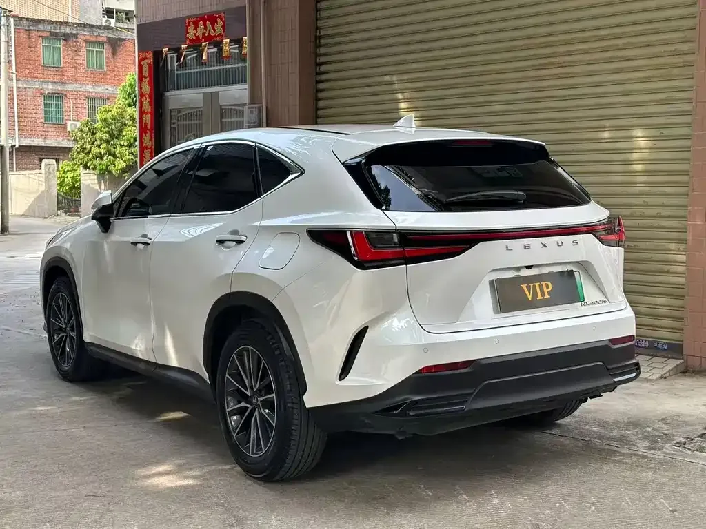 Lexus NX New Energy — фото 2