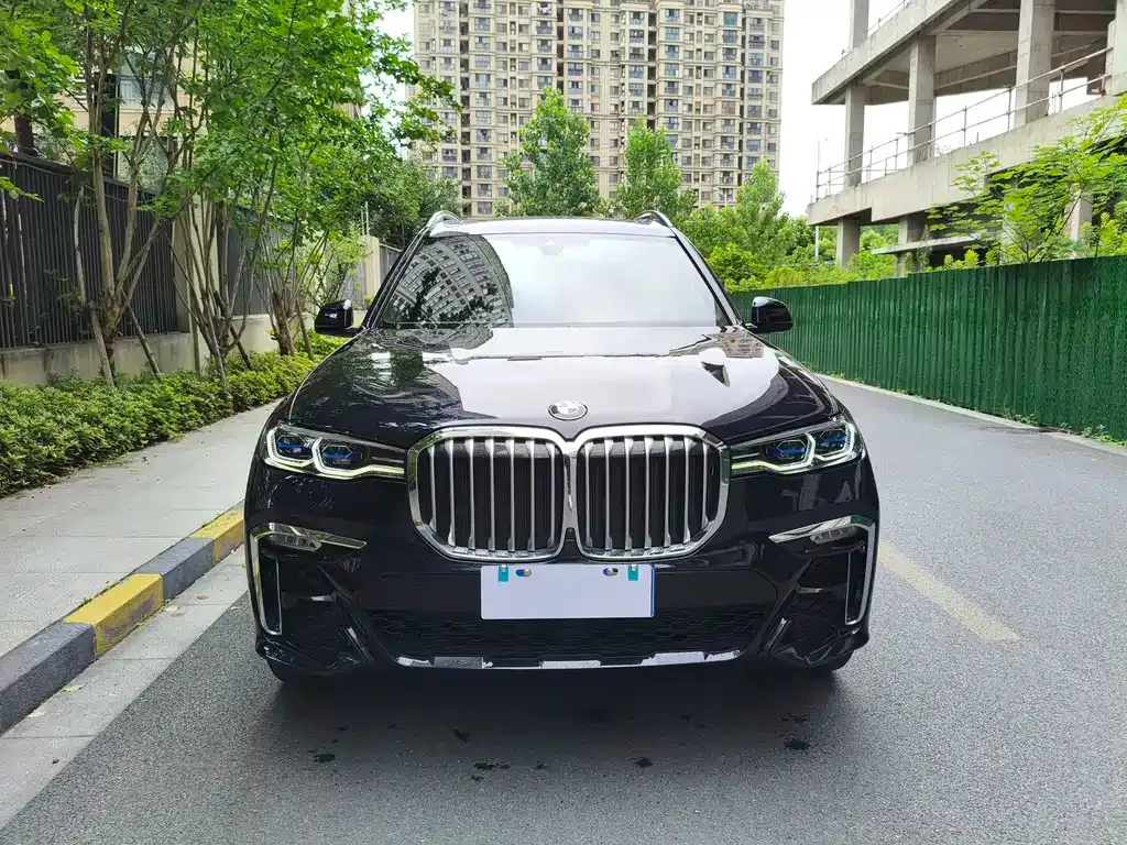 BMW X7 — фото 10