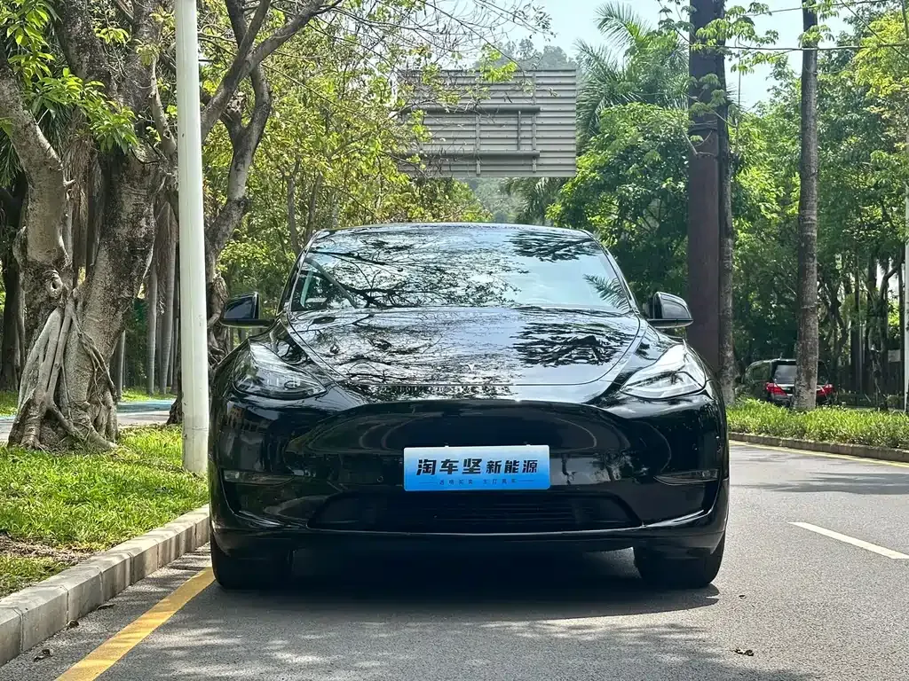 Tesla Model Y — фото 9