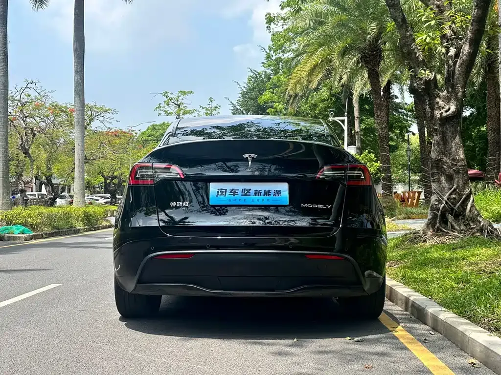 Tesla Model Y — фото 10