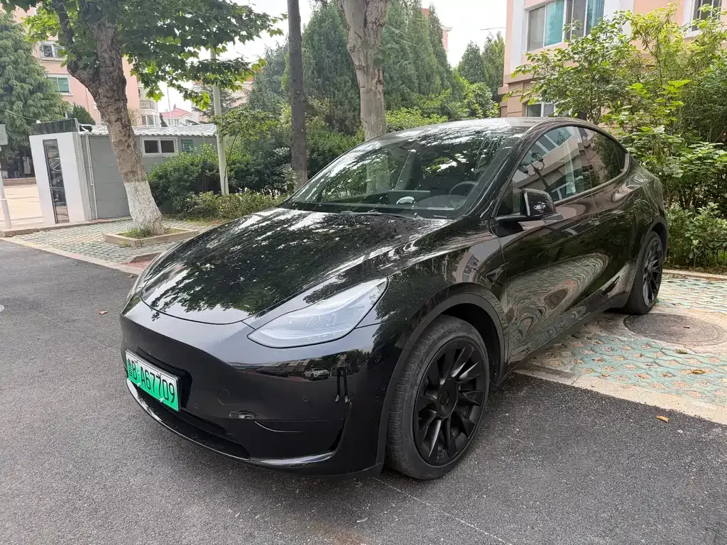 Tesla Model Y — фото 1