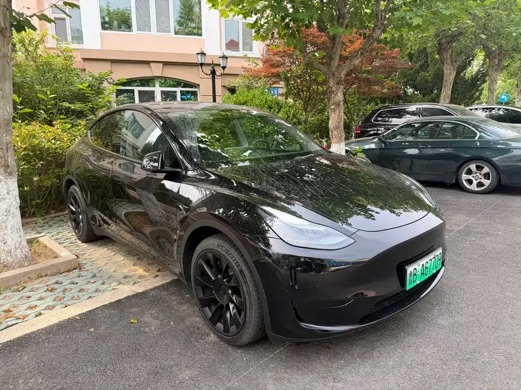 Tesla Model Y — фото 8