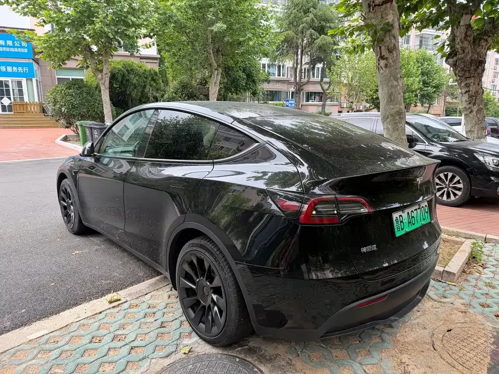 Tesla Model Y — фото 5