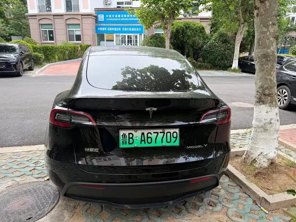 Tesla Model Y — фото 6