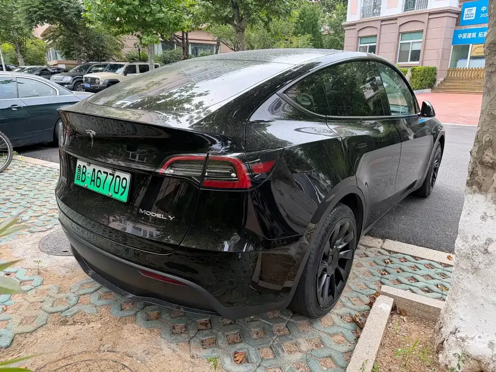 Tesla Model Y — фото 4