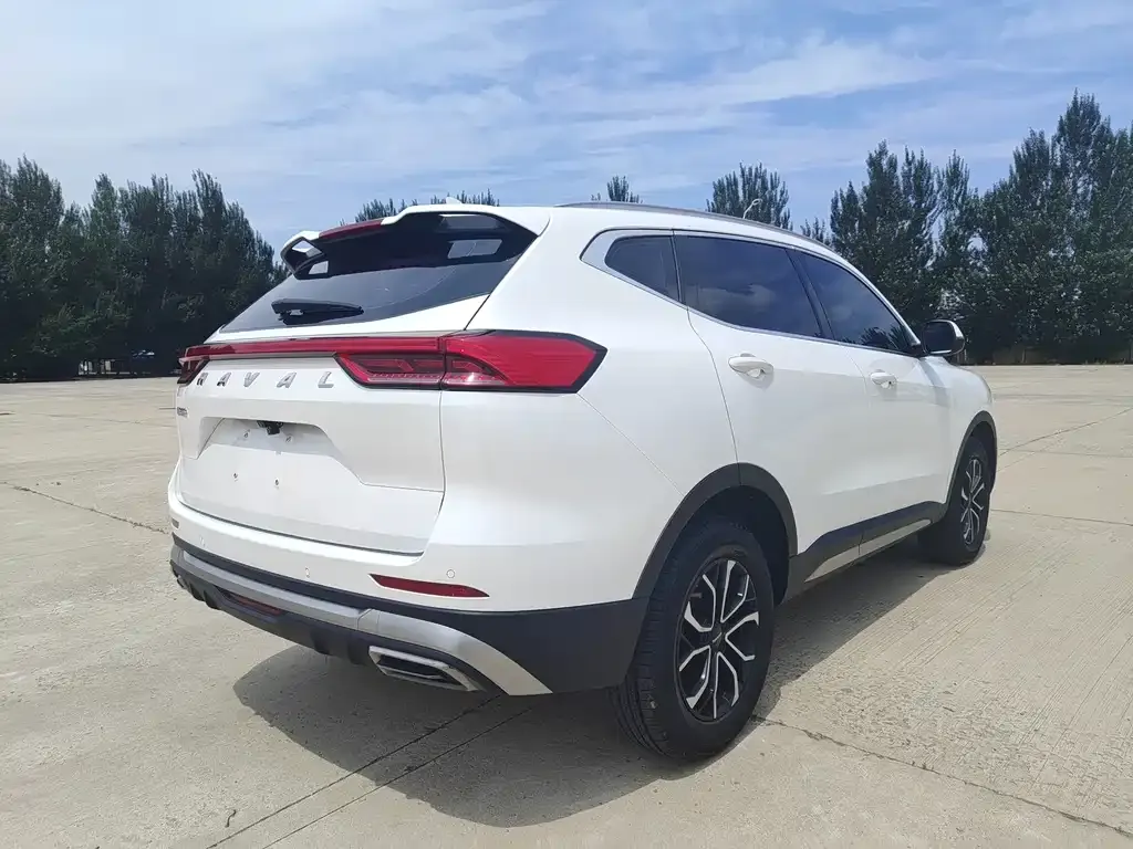 Haval H6 — фото 10