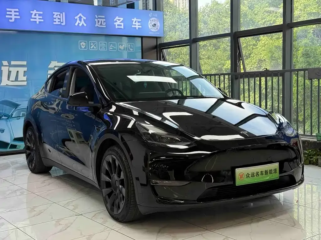 Tesla Model Y — фото 10